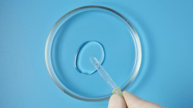Glycerin drips from pipette into a laboratory dish. Petri dish with sample of glycerol. Glycerol is a food additive E422, often used in cosmetics industry. Moisture-retaining agent, thickener.