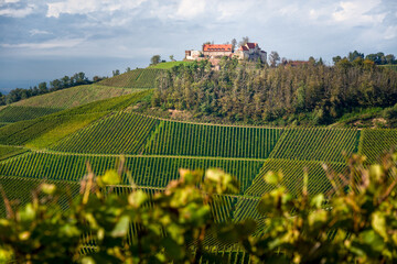 Weinberge in Durbach, Schloss Staufenberg