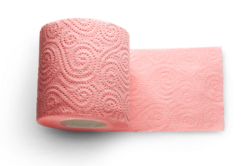 Toilet paper isolated on white