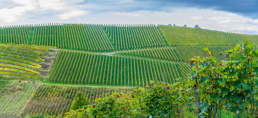 Weinberge in Deutschland, Durbach