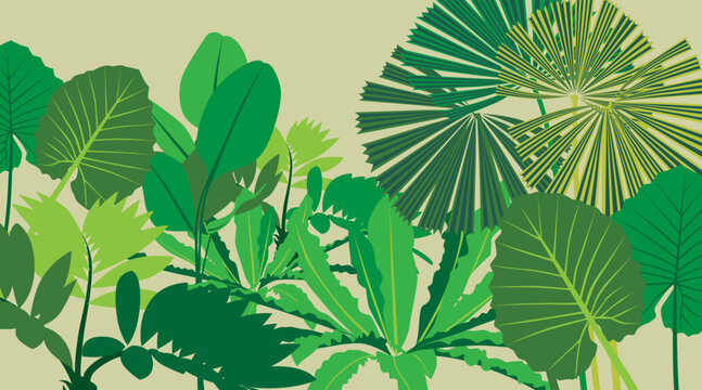 The illustrations and line drawings of various plants in the garden are simple.