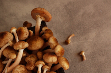 Fresh raw honey mushrooms in a wooden box on a beige background