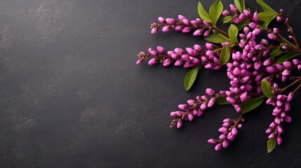 Fototapeta premium A group of purple flowers sits atop a black countertop, adjacent to a green leafy plant on a black surface
