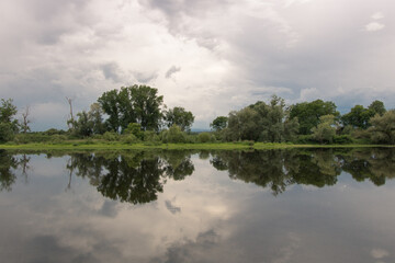 bord sauvage du plus grand fleuve français la Loire au printemps