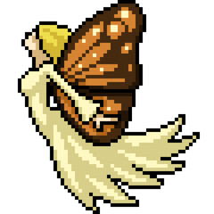 pixel art of woman buterfly fairy