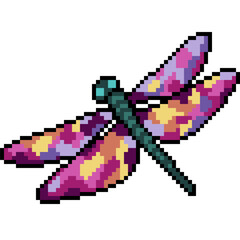 pixel art of colorful dragonfly top