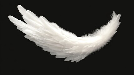 Fototapeta premium A tight shot of a pristine white feather against a black backdrop, ideal for text or graphic placement on apparel