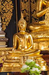 buddha statue in thailand