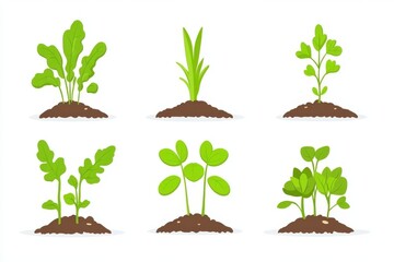 Young plant sprouts growing from soil symbolizing sustainable gardening plant growth and eco conscious agricultural practices for small scale urban farms