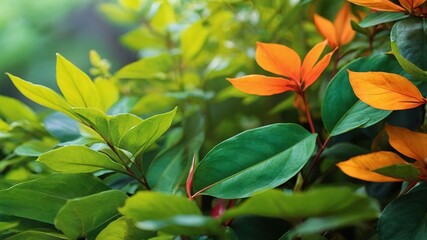 Summer Greenery Abstract Art Poster