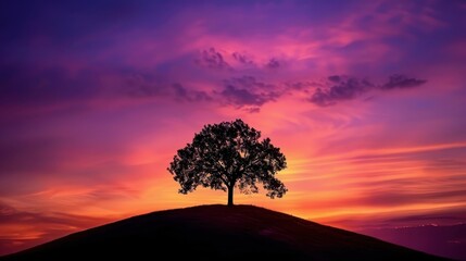 Majestic Lone Tree Silhouette on Vibrant Hilltop Sunset
