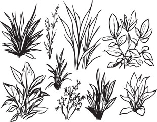 Set of silhouette plants, plant design. Hand drawn vector illustration