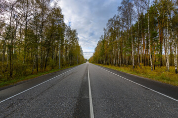 Naklejka premium A road with trees on both sides and a clear blue sky