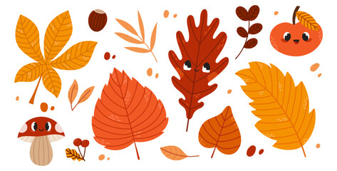Cute autumn leaves