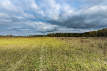 A field of grass with a cloudy sky in the background