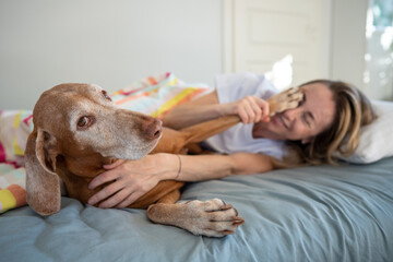 Playful smiling woman plays with Magyar Vizsla dog on bed, enjoying cozy time. Dog putting paw on...