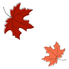 Continuous one line drawing of maple leaf. Maple leaves line art in autumn. Minimalist black linear sketch isolated on white background. Hand drawn vector illustration.