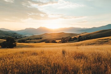A breathtaking view of a golden field under a dramatic sunset, with rolling mountains in the background, evoking a sense of peace and serenity.