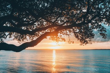 A sprawling tree branch stretches across the foreground, silhouetted against a stunning golden sunset over the tranquil ocean waters, creating a serene scene.