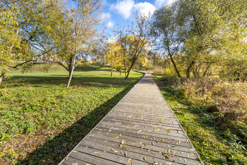 Fototapeta premium A path in a park with trees and leaves on the ground