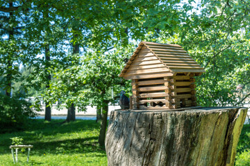 A birdhouse is sitting on a log in a park