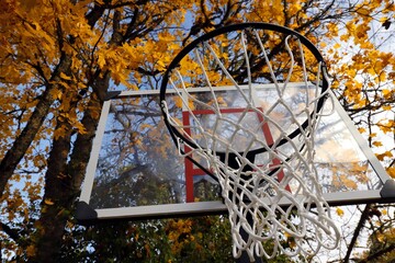 basketball hoop on the street