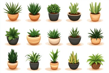 Set of potted succulents and cacti in colorful pots symbolizing trendy plant care minimalist decor and popular home gardening ideas for modern homes