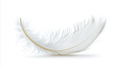 Obraz premium delicate white feather gracefully floats in air, showcasing its soft texture and intricate details. serene image evokes sense of calm and tranquility
