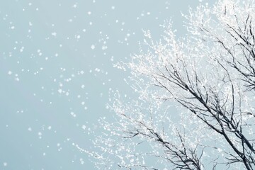 An illustration of snow-covered tree branches against a soft sky, with snowflakes gently falling to evoke a calm and serene winter scene