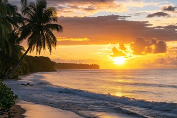 A serene sunset over a tranquil beach lined with palm trees, capturing the golden hues and peaceful ambiance of nature's beauty along the ocean's edge.