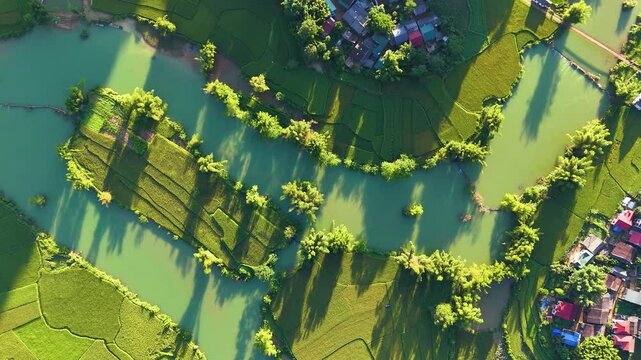 Aerial landscape in Quay Son river, Trung Khanh, Cao Bang, Vietnam with nature, green rice fields and rustic indigenous houses