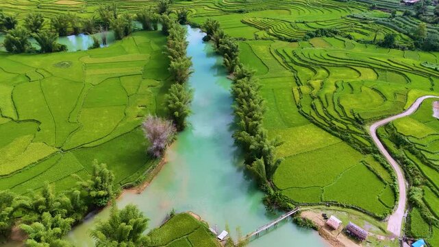 Aerial landscape in Quay Son river, Trung Khanh, Cao Bang, Vietnam with nature, green rice fields and rustic indigenous houses