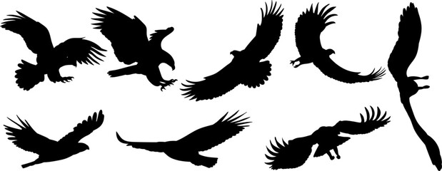 flying birds set silhouette, vector on white background