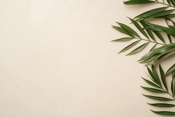 Fototapeta premium A leafy green plant is on a white background