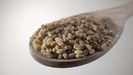 Wheat Grains in a Wooden Spoon on a Light Background