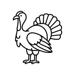 Outline turkey bird illustration