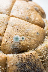 Overhead view of mold on bread, top view of moldy bread, expired spoiled bread with moldy crust