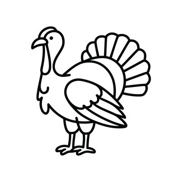 recommend clip art: Outline turkey bird illustration