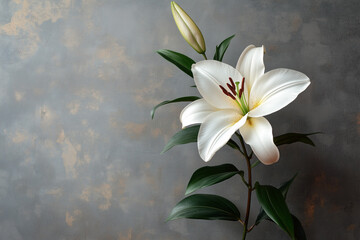 Symbol of Purity: A Tribute with a Lily