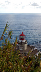 The image shows a red and white small lighthouse. The photo was taken from behind green bushes on the Portuguese Azores. The lighthouse is surrounded by the vastness of the blue ocean. © Wiktor