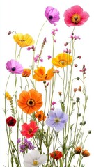 Fototapeta premium Beautiful seamless floral water color pattern Set, watercolor wild flowers, leaves and grass,Collection botanic garden elements. Vector isolated illustration in rustic or vintage style,copy space.