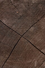 wet brown wood flooring abstract as background, old wood texture close up as a background,