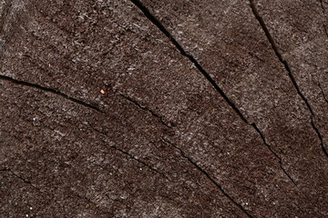 wet brown wood flooring abstract as background, old wood texture close up as a background,