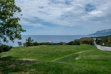 A green lawn with grass on the background of the sea on a summer day.