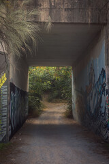 tunnel in the forest