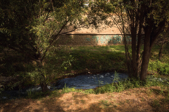 river in the woods