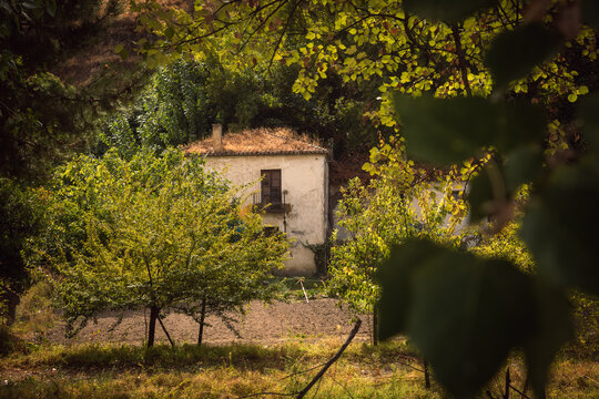 house in the woods