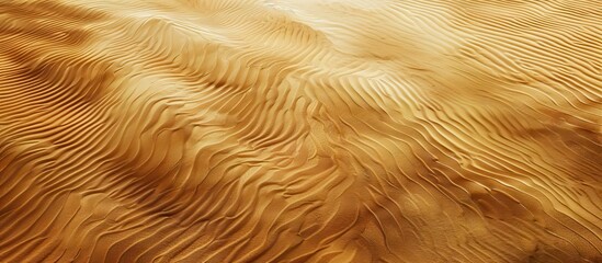 Sand ripples are formed by seasonal rains and wind on the desert floor producing alluring abstract patterns shown in the copy space image