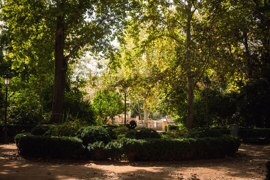 park in the park