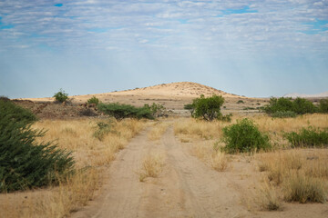 Exploring the scenic landscapes of Iona National Park in Angola during a clear day with vibrant vegetation along the sandy path